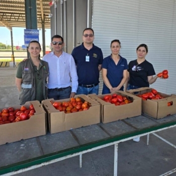 CNCSP emite los certificados de origen que contribuyeron al logro del productor nacional con la exportación de tomates a la Argentina